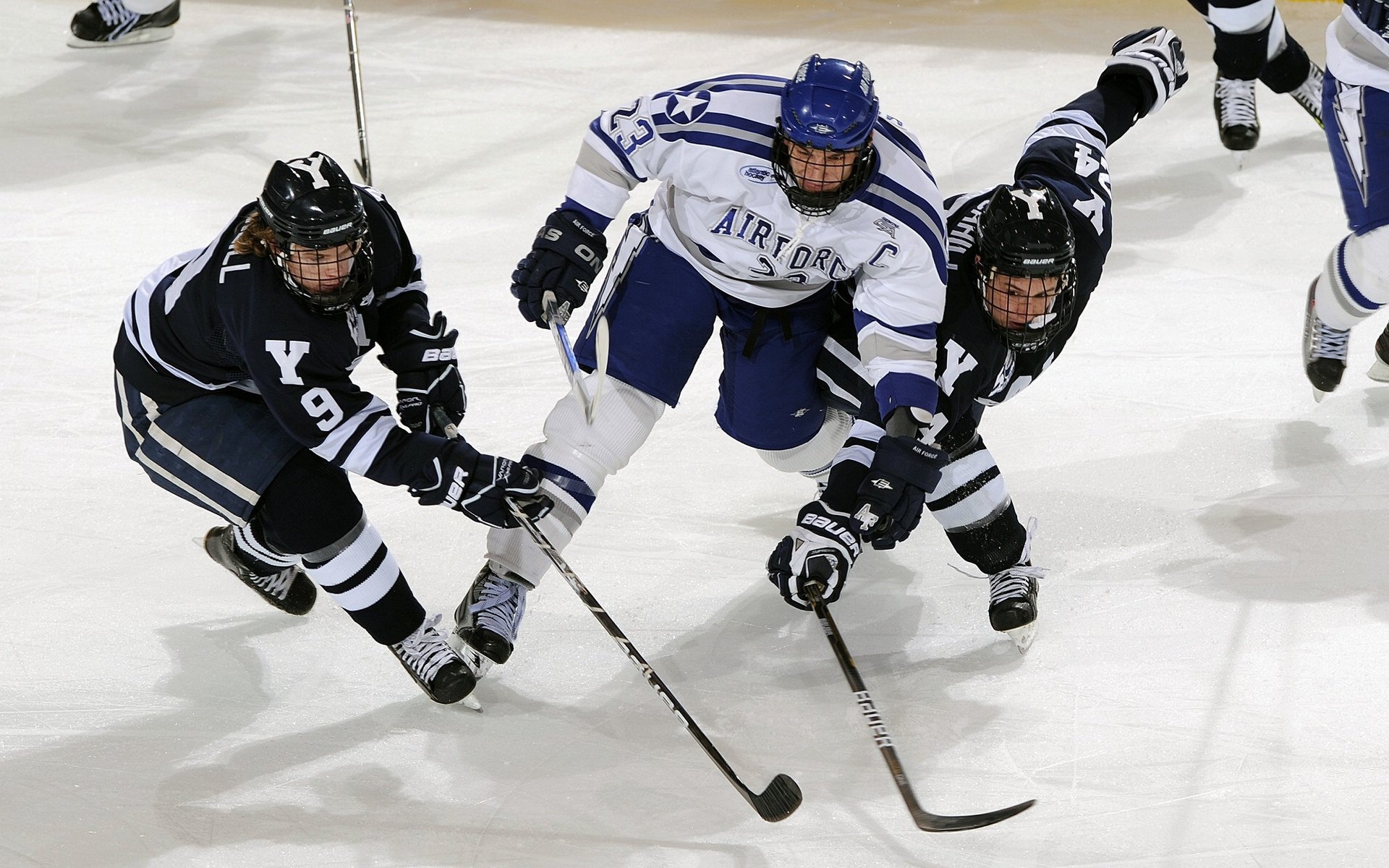 中国高校篮球联赛全面升级，吸引众多年轻人，中国高校校友篮球联赛